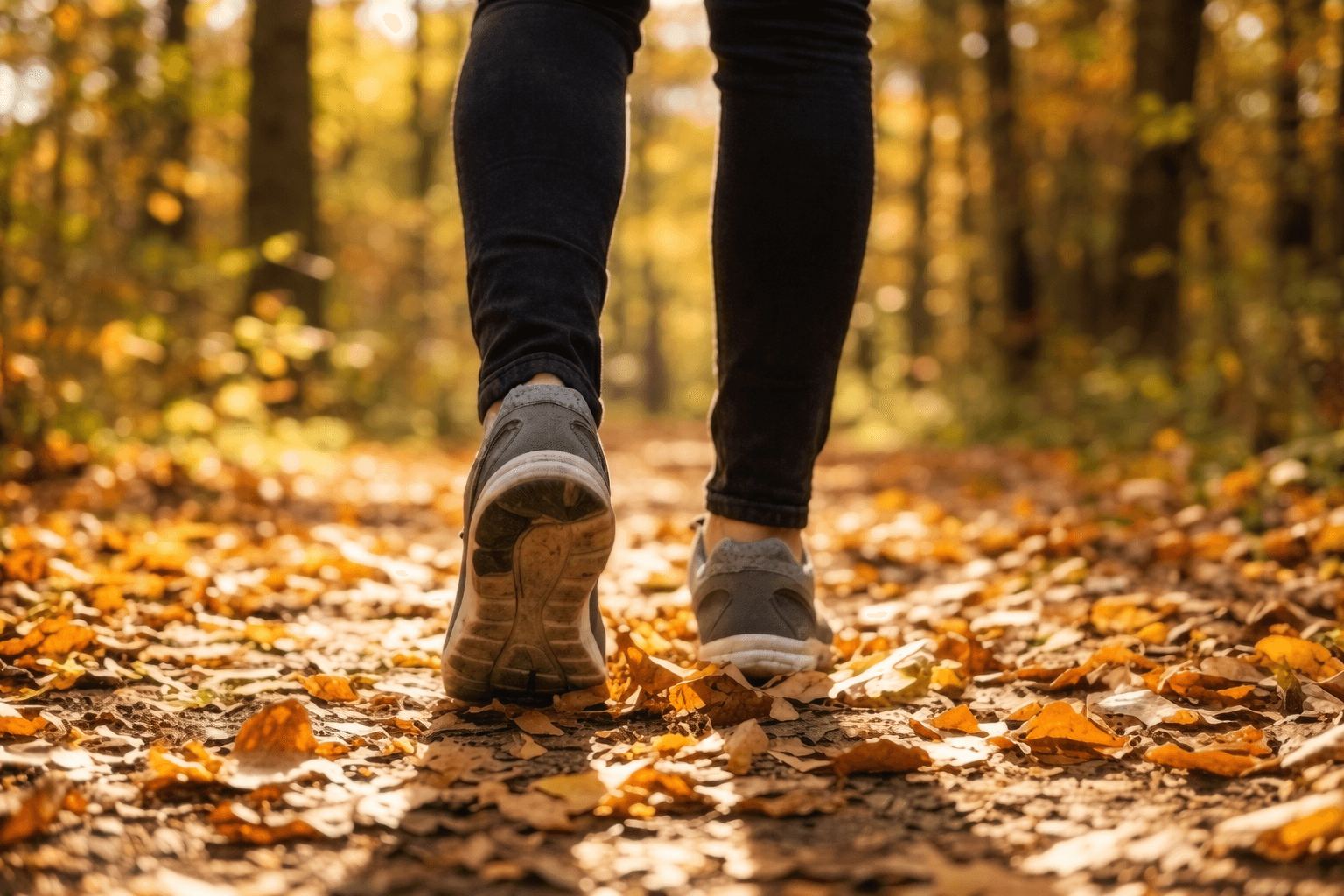 Осъзната Разходка